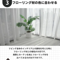 画像246