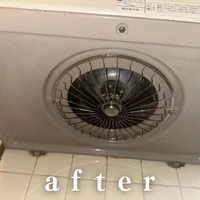 画像444