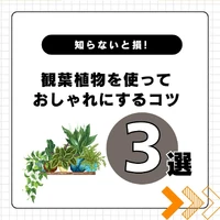 画像473