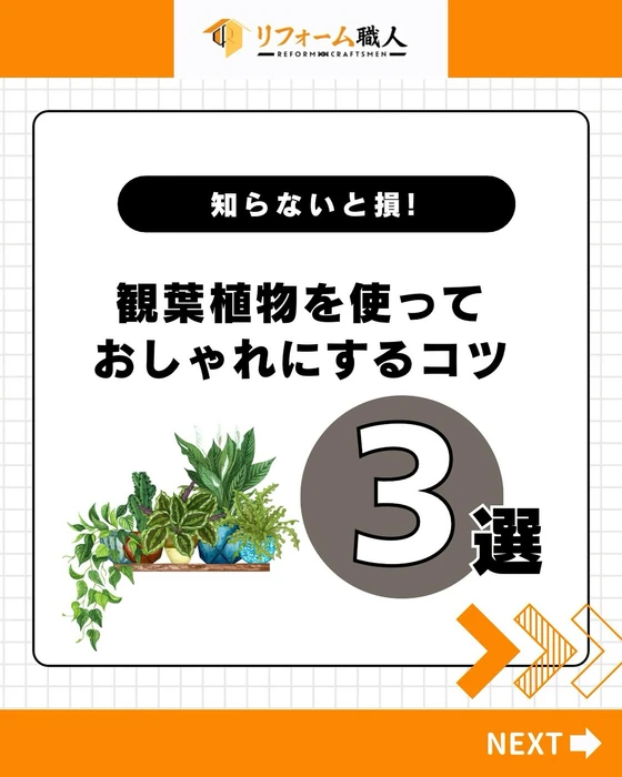 画像473
