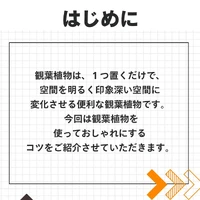 画像474