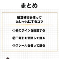 画像478